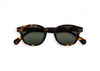 Izipizi C Frame Sunglasses in Tortoise Grey Lenses