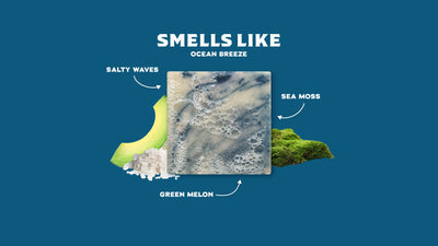 Dr. Squatch Soap Co. Coastal Mist Bar Soap