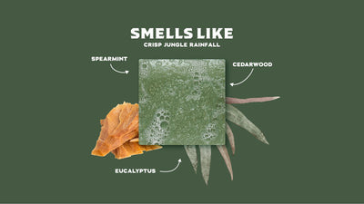 Dr. Squatch Soap Co. Rainforest Rapids Bar Soap