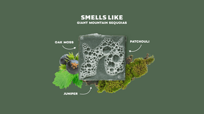 Dr. Squatch Soap Co. Sierra Storm Bar Soap